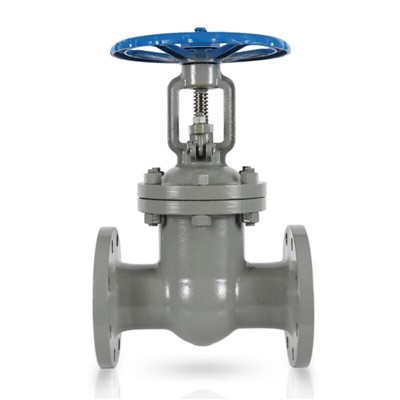 Gate Valve Disc Type