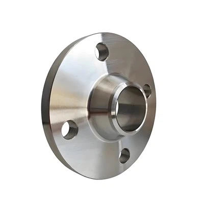 Ss Weld Neck Flange
